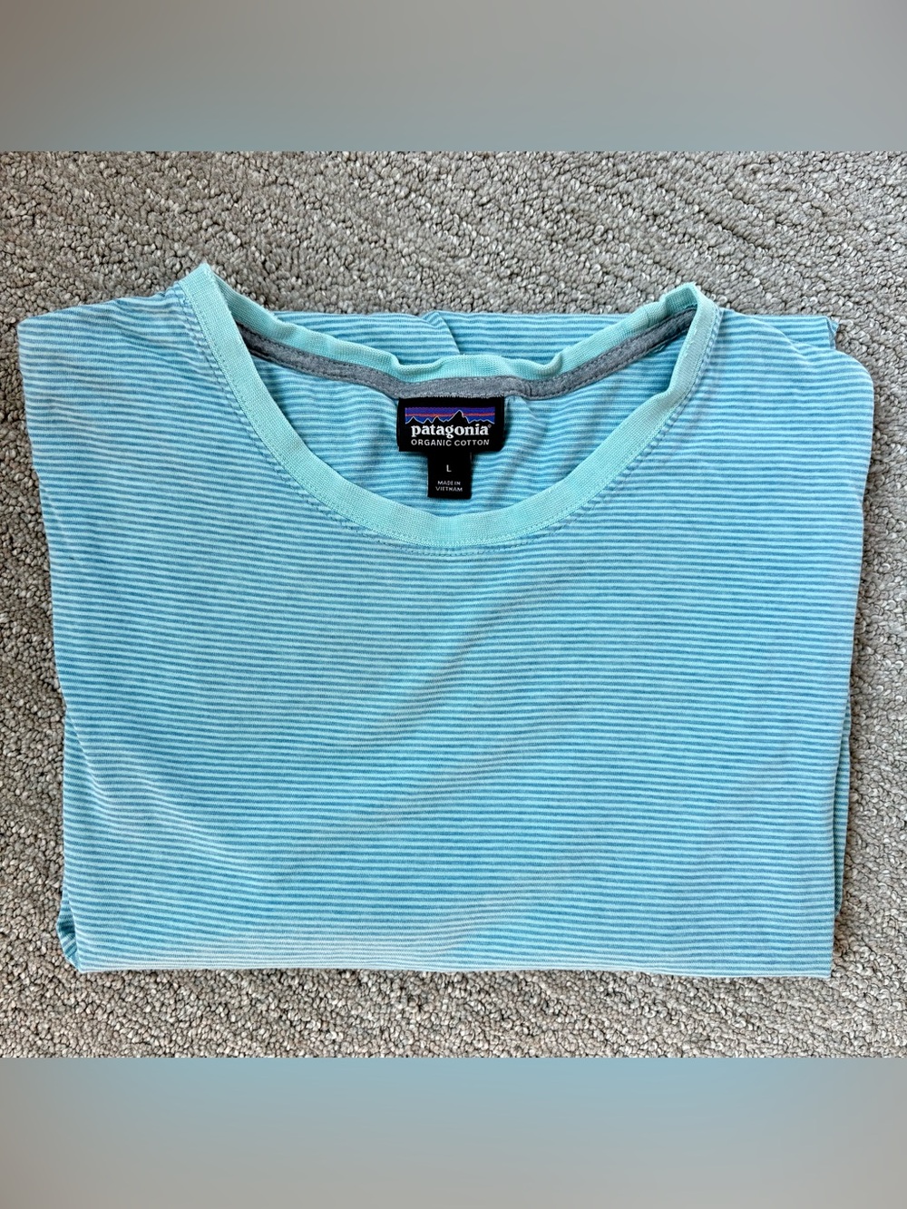 Men’s Patagonia Bluel Stripe 100% Organic Cotton Short Sleeve T-Shirt Large